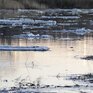 Реки Приморья очищаются ото льда