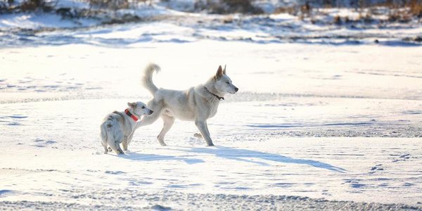 В выходные дни в Приморье вернётся благоприятная погода