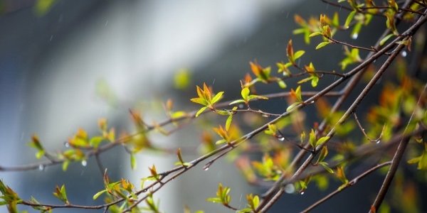 Синоптики рассказали, какой будет погода на майские праздники в Приморье