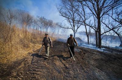 Пожароопасный период открыт ещё в 13 муниципалитетах Приморья
