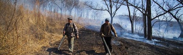 Пожароопасный период открыт ещё в 13 муниципалитетах Приморья