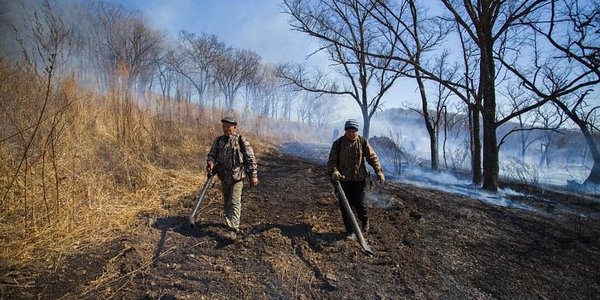 Пожароопасный период открыт ещё в 13 муниципалитетах Приморья