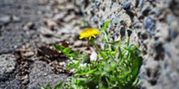 Выходные во Владивостоке будут солнечными и тёплыми