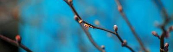 На следующей неделе в Приморье потеплеет до +16 °C