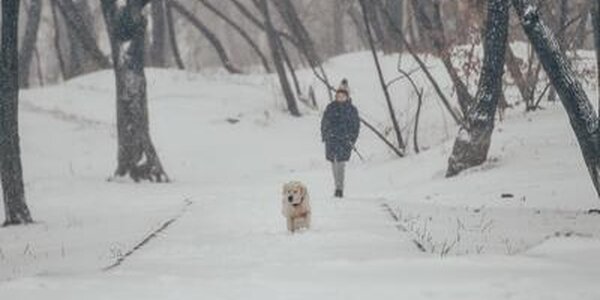 Температура воздуха в Приморье вернулась в климатические рамки