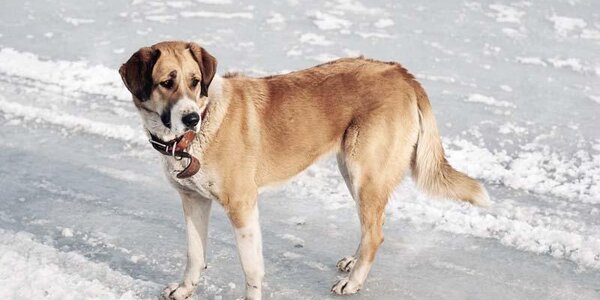 Погода в Приморье взяла курс на потепление