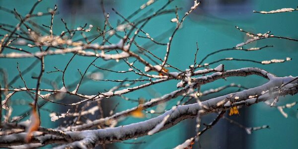 Завтра в Приморье станет еще теплее