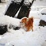Температуры в Приморье вернутся в климатические рамки, в среду пройдет снег: всё о погоде в Приморье на рабочей неделе