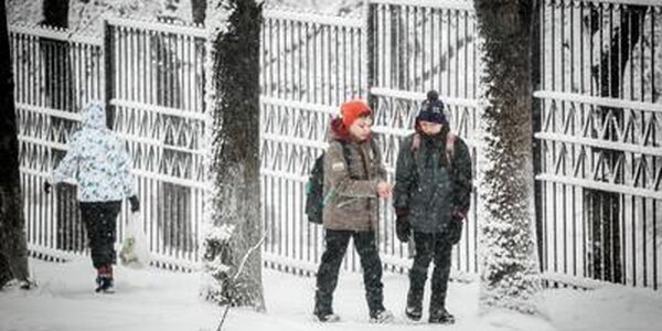 Небольшой снег, на побережье усилится ветер: с чего начнется февраль в Приморье