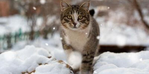 Во Владивостоке выпало менее 1 мм осадков