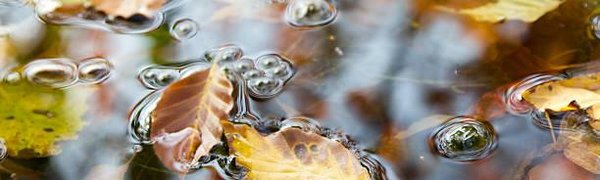 В Приморье после проливных дождей вышла из берегов река Ореховка