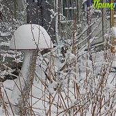 Снежный конец недели во Владивостоке(ФОТО)