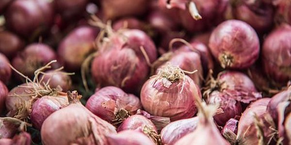 Продуктовая ярмарка развернётся во Владивостоке 9 и 10 сентября