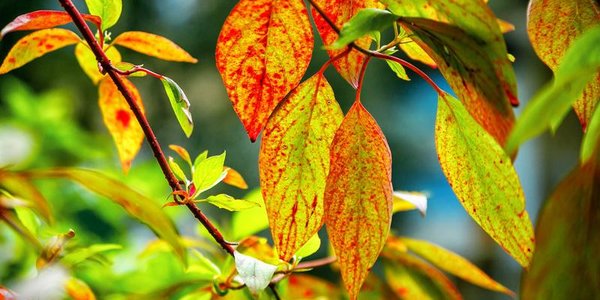 В выходные во Владивостоке будет прохладно, но без осадков