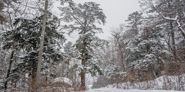 Циклон обрушится на Приморье в ближайшие сутки