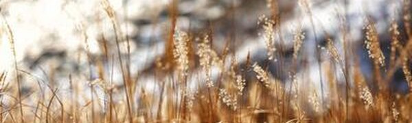 Температура в Приморье выше нормы на 2 — 7 градусов