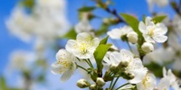 В Приморье улучшилась погода