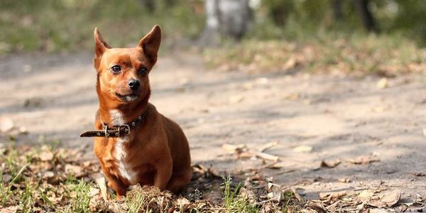 В ноябре колебания температуры в Приморье продолжатся