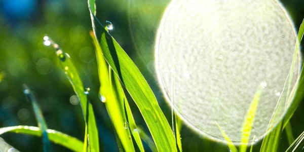 В Приморье пришла летняя погода с грозовыми дождями