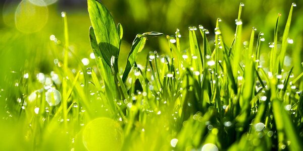 Синоптики дали прогноз на рабочую неделю в Приморье и Владивостоке