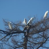 Март в Сихотэ-Алинском заповеднике — половодье солнечных лучей