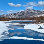 Март в Сихотэ-Алинском заповеднике — половодье солнечных лучей