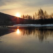 Март в Сихотэ-Алинском заповеднике — половодье солнечных лучей