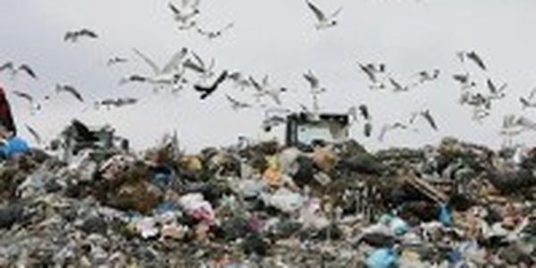 Экспорт мусора из Японии бьет рекорды