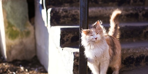 Сегодня во Владивостоке будет тепло и солнечно