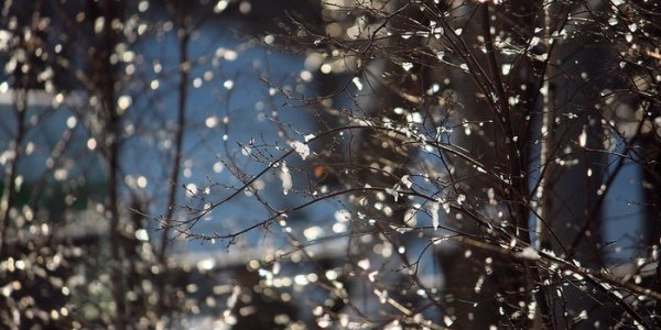 Резкое ухудшение погоды ожидается в Приморье в выходные дни