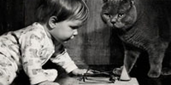 Маленькая девочка и кот Том