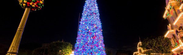 Главная елка Батуми загорелась на глазах у мэра города