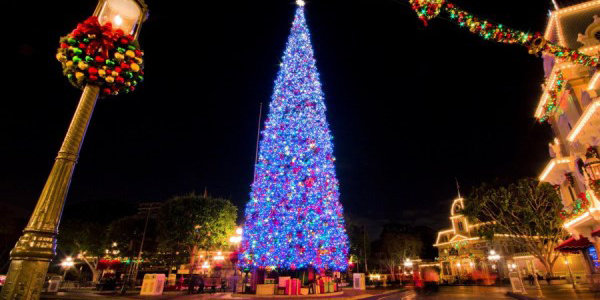 Главная елка Батуми загорелась на глазах у мэра города