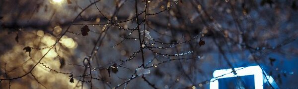 Во Владивостоке в ночь на понедельник начнутся осадки