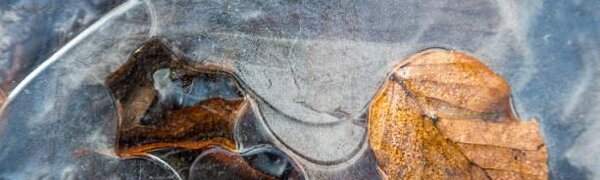 Похолодание ускорило процесс развития ледовых явлений на реках Приморья