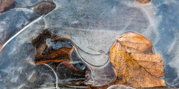 Похолодание ускорило процесс развития ледовых явлений на реках Приморья