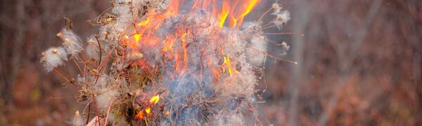 Во Владивостоке действует пожароопасный период