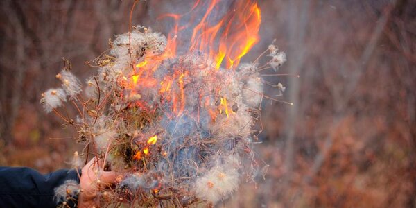 Во Владивостоке действует пожароопасный период