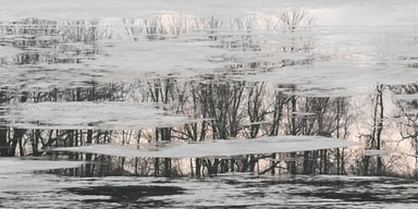 Реки Приморья освобождаются ото льда