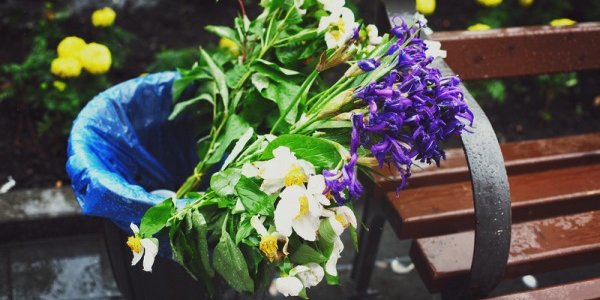 Шанхайский циклон принесет ливни и ветер в южные районы Приморья