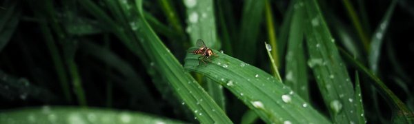 Какая погода ожидается в Приморье и Владивостоке в начале недели