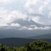 Июль в Сихотэ-Алинском заповеднике: время дождей