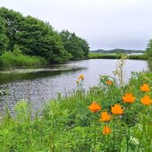 Июль в Сихотэ-Алинском заповеднике: время дождей