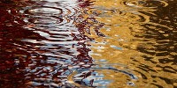 В Приморье прошли дожди разной интенсивности