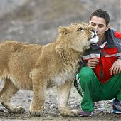 Расставание льва и человека (ФОТО)