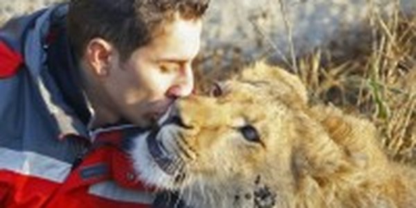 Расставание льва и человека (ФОТО)