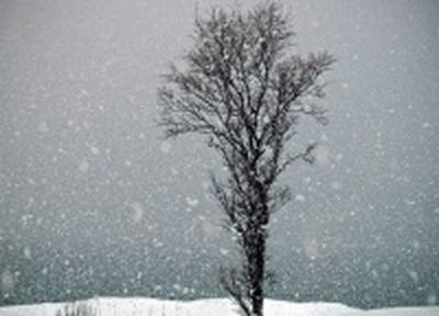 Борис Кубай: На выходных циклон принесет интенсивные снегопады