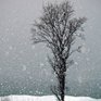 Борис Кубай: На выходных циклон принесет интенсивные снегопады