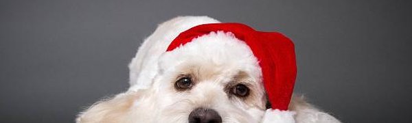 На хандру после новогодних каникул пожаловались 70 % россиян