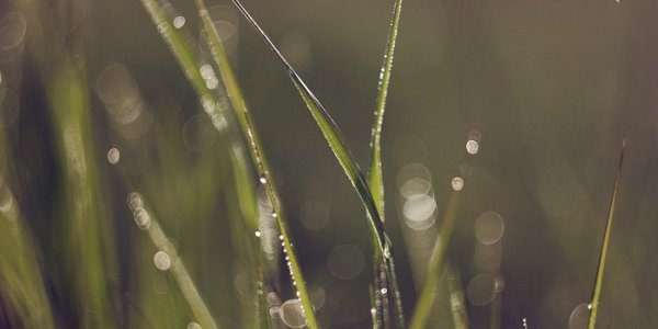 Отголоском тайфуна «Халонг» на Приморье обрушились проливные дожди